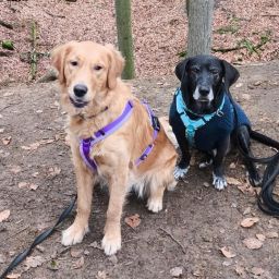 MABEL_ZEBEK-WA0018-V2